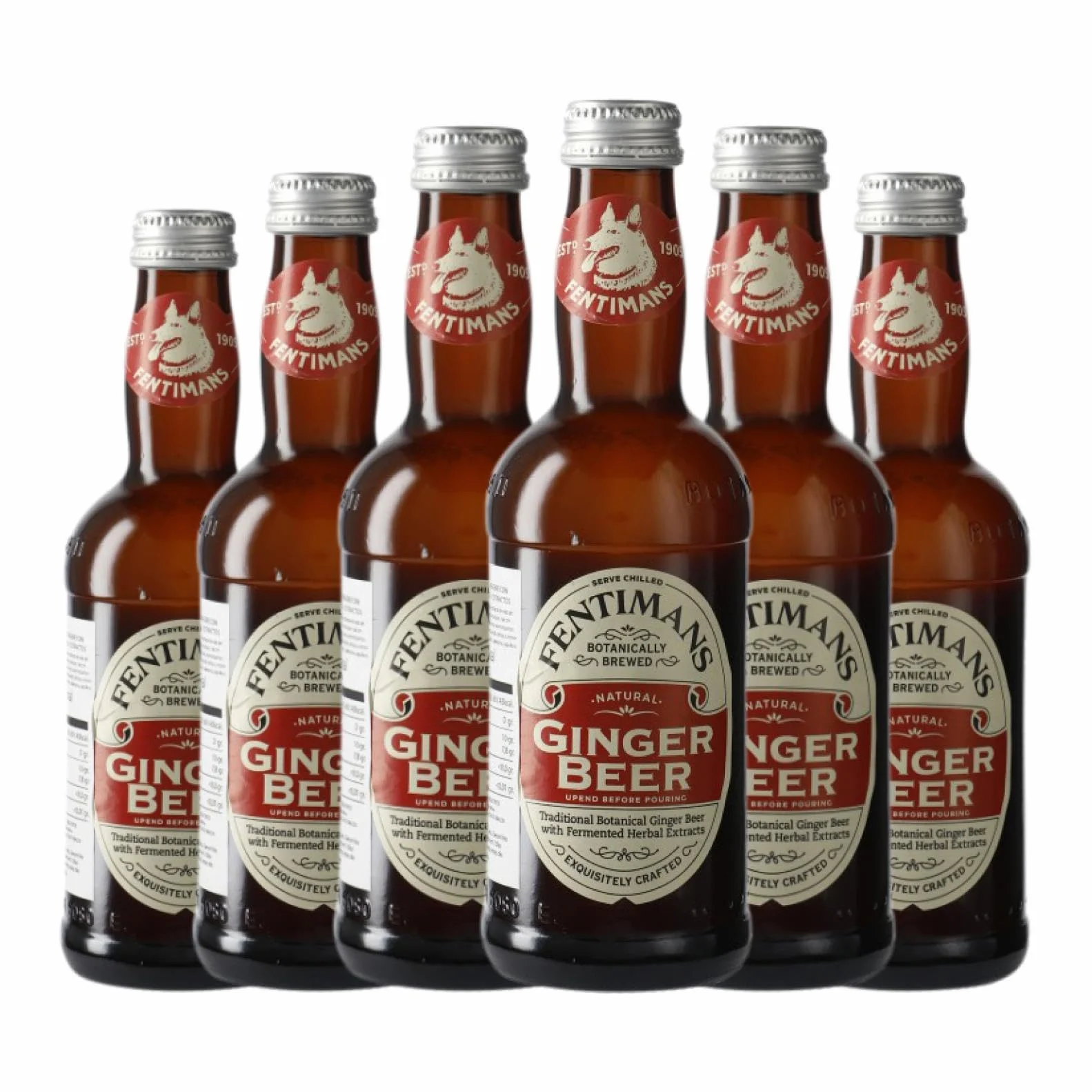 Fentimans Ginger Beer Botellín 27 cl Caja de 6