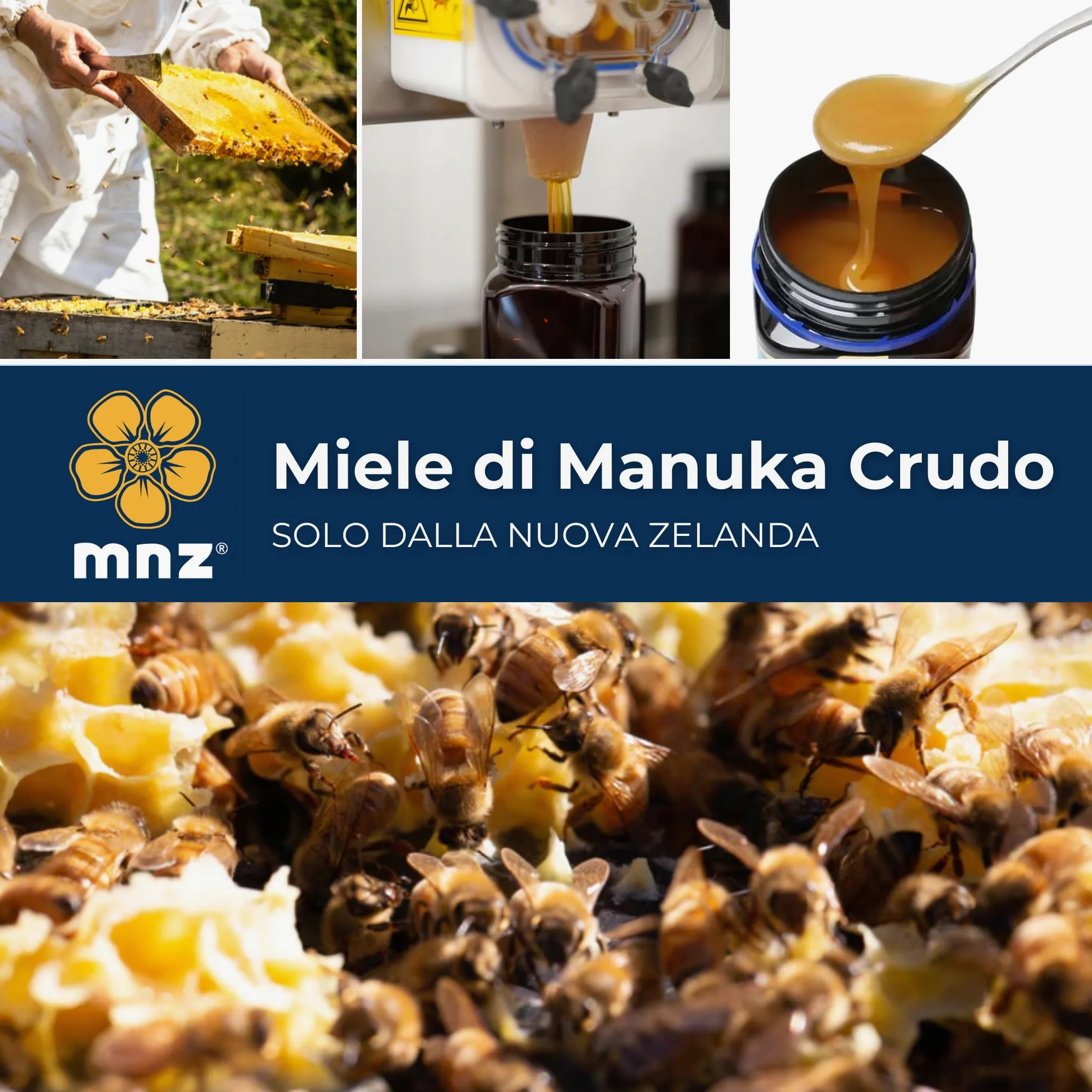 Miel DE Manuka MONOFLORAL MGO 550+ 500G