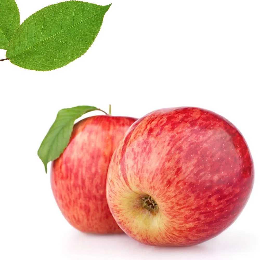Manzana Royal Gala de El Bierzo Calidad Extra Caja 10 kg