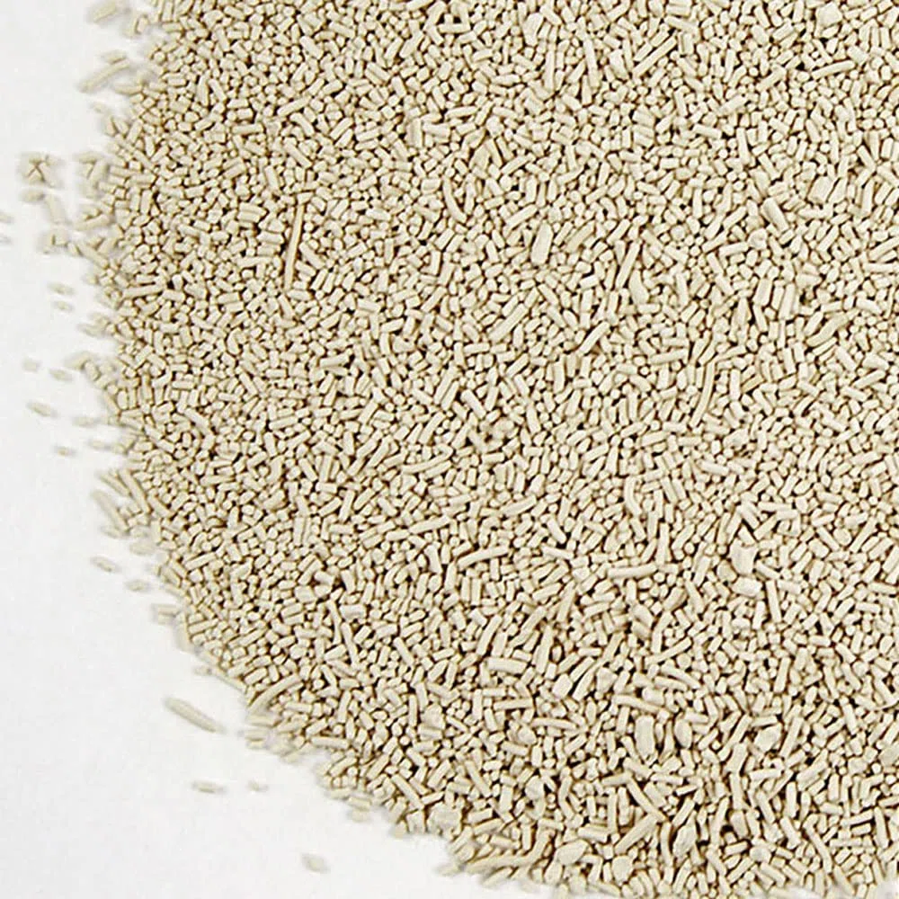 Levadura Seca de Panadero 500g Saf Instant.