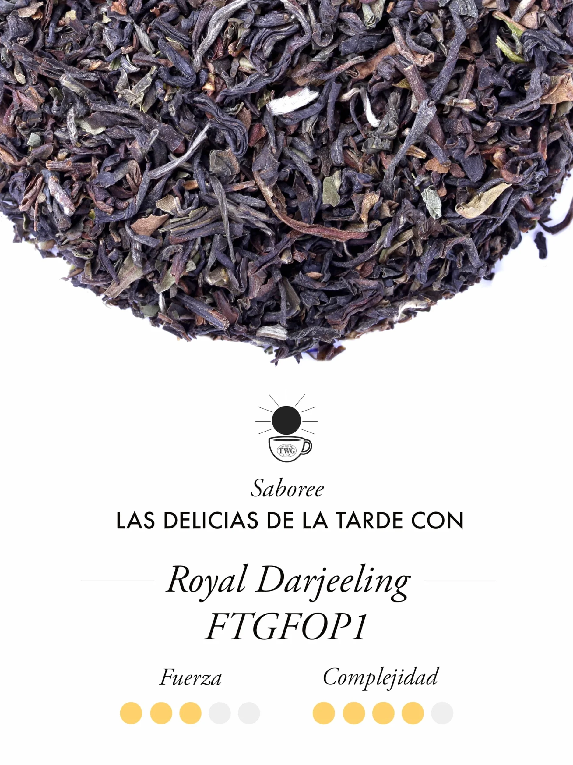 TWG Tea | Royal Darjeeling FTGFOP1 | Té Negro | Albaricoques Maduros | 15 Bolsitas de Té de Algodón Cosidas a Mano | Caja de Regalo Originales