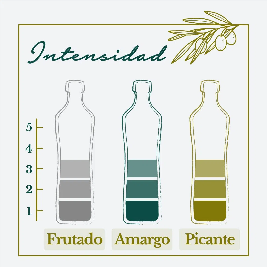Dcoop Aceite de Oliva Virgen Extra - Coupage Estándar, Sabor Frutado, Ideal para Cocinar, Procedente de Nuestras Cooperativas, Pack 3 x 3 litros