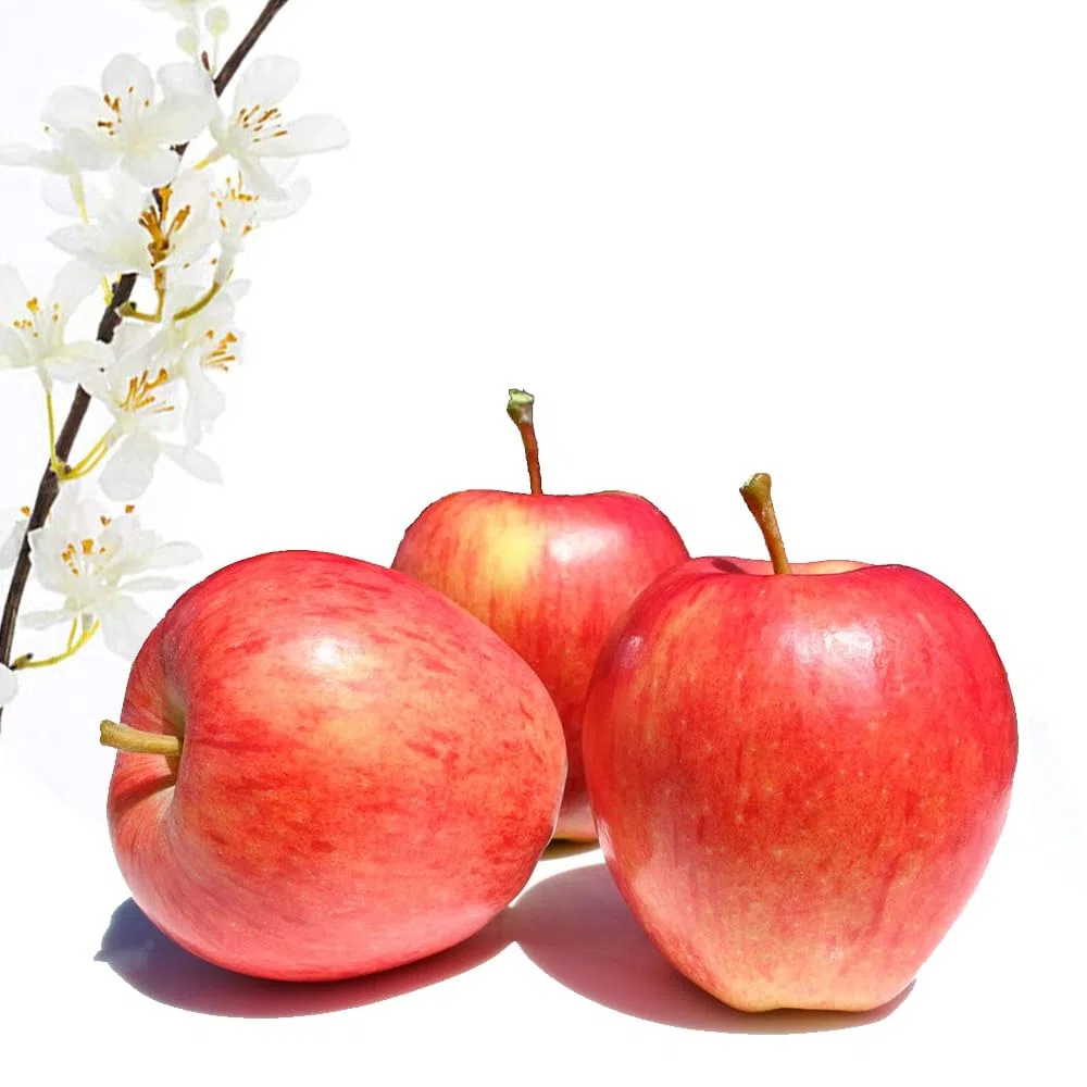 Manzana Royal Gala de El Bierzo Calidad Extra Caja 10 kg