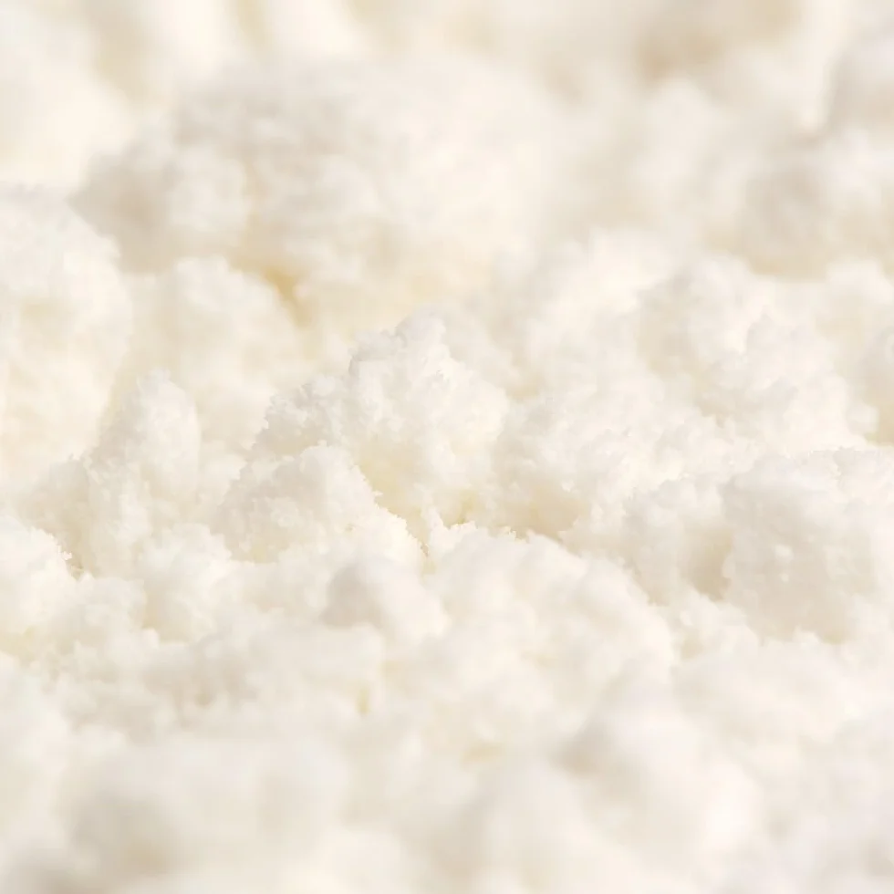 Leche de Coco en Polvo - Bebida Vegetal de Coco - Salud Viva Bio 200g