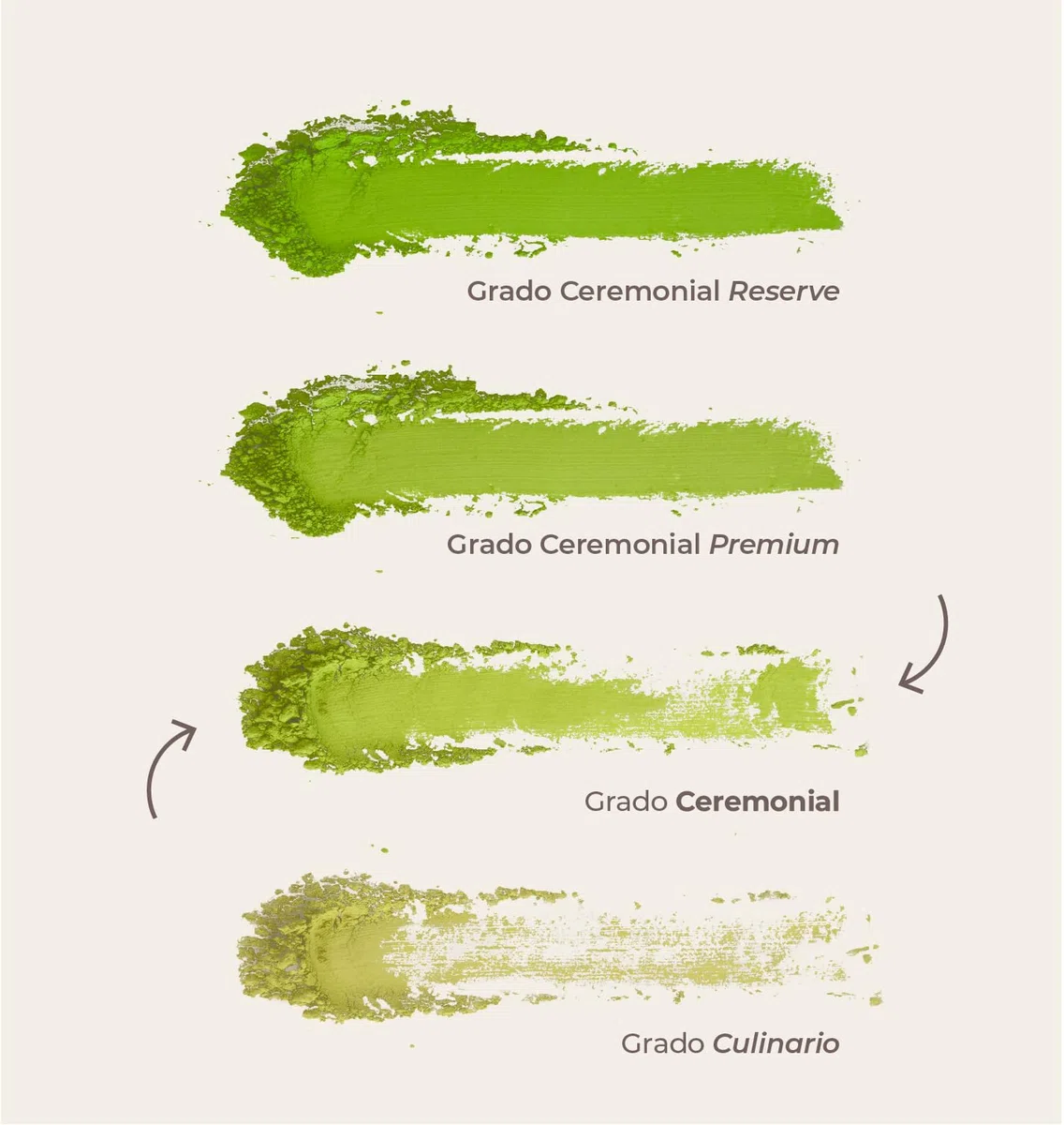 Matcha & CO Té Matcha Chocolate (80 gramos) 100% Orgánico de Grado Ceremonial | Con Cacao en Polvo | Té Verde Orgánico de Japón, 80G 100% Natural, sin Azúcar - Matcha & CO.