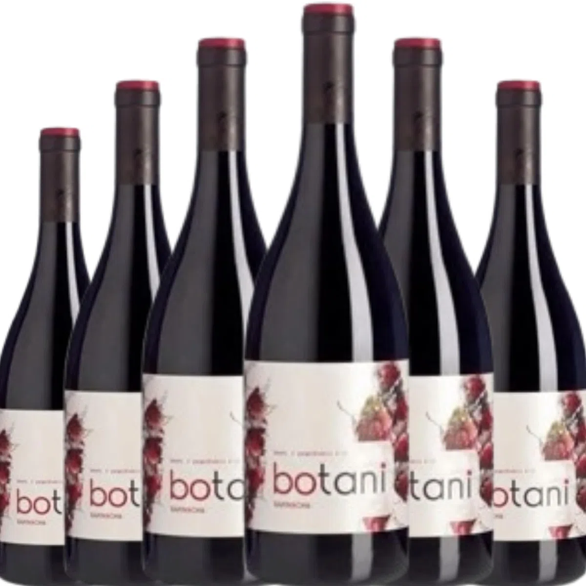 Botani Garnacha es un vino tinto español con expresión frutal, notas frescas y equilibrio perfecto, ideal para disfrutar en momentos relajados o con tapas.| 6 botellas