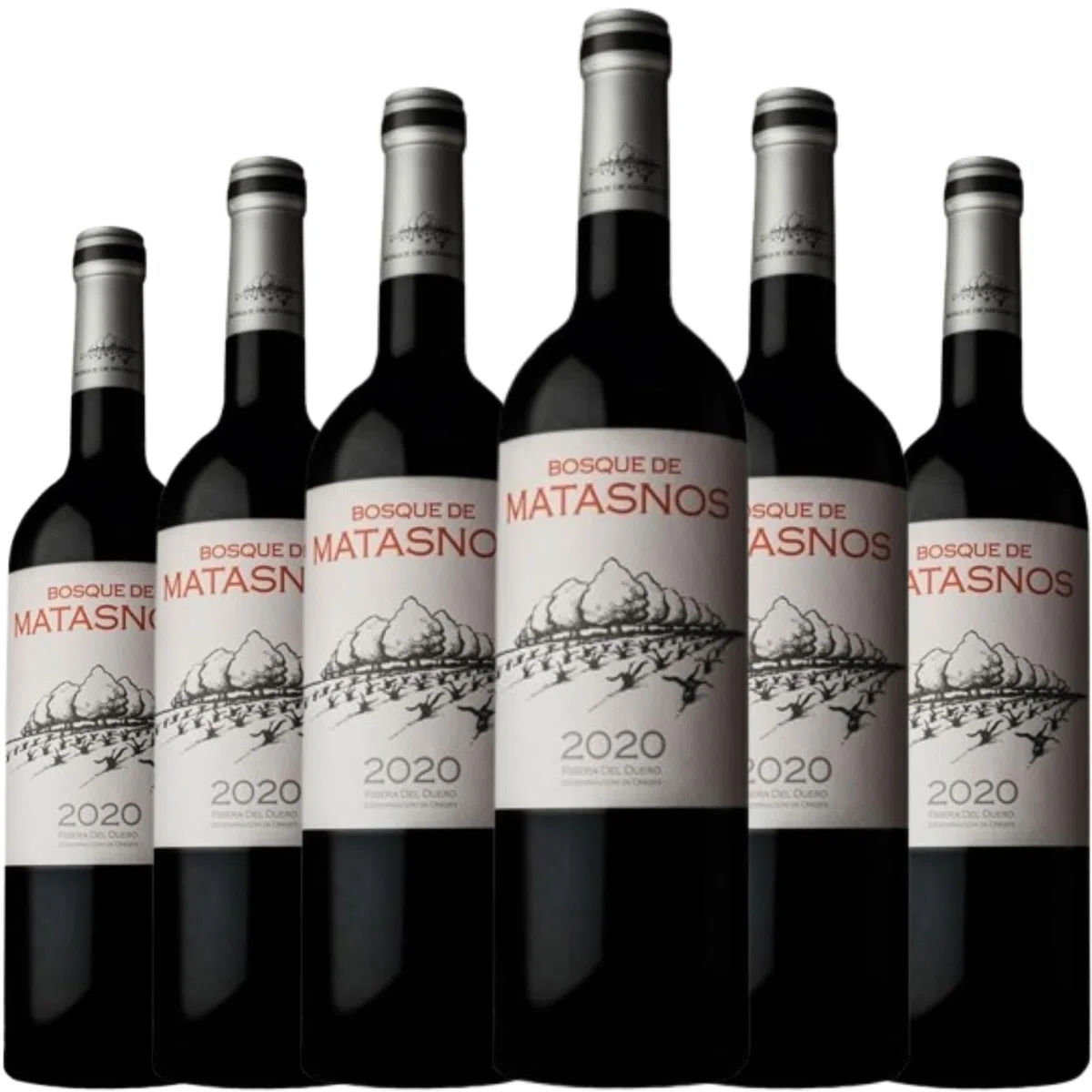 Bosque de Matasnos Etiqueta Blanca es un vino tinto de crianza español con cuerpo, equilibrio y matices frutales, ideal para maridar con carnes y quesos.| 6 botellas