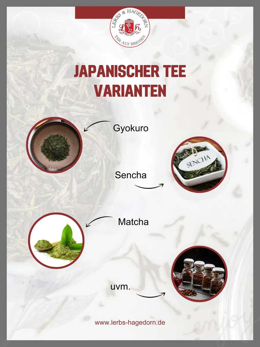 Sencha extrafina de Japón, 1 kg
