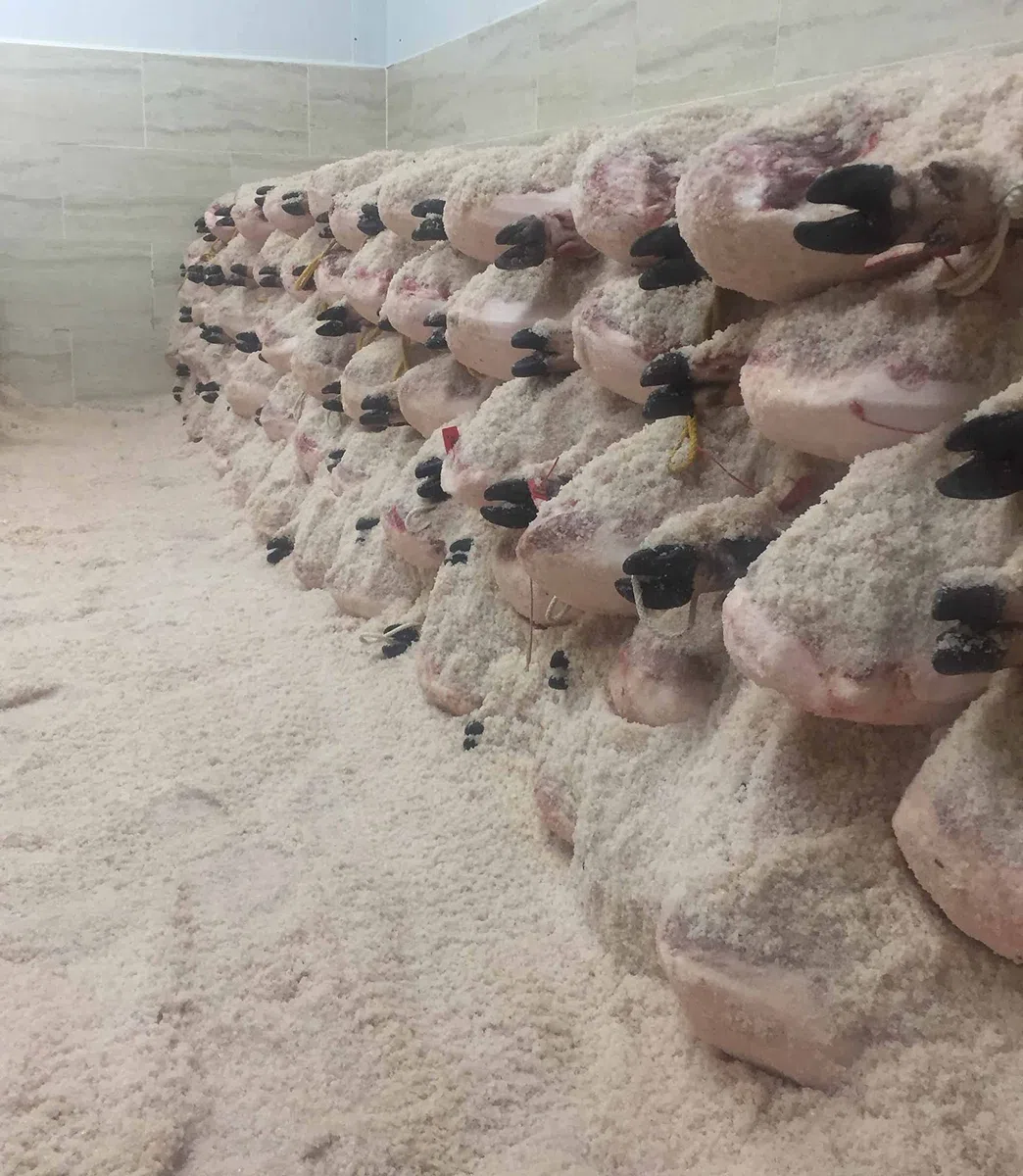 CERROALTO | Jamón de Cebo 100% Ibérico | Peso de 9 a 10 kilos |