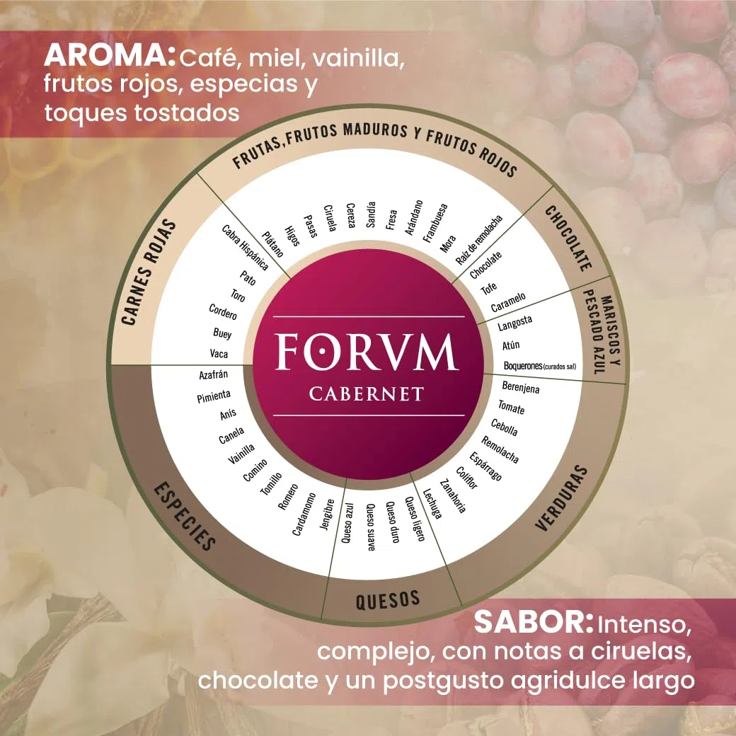 Forvm Cabernet, Vinagre de Vino Tinto, Fantástico para Cocinar, Usado 12 Años en el Menú de los Premios Nobel, Envejecido Artesanalmente 8 Años en Barricas, Prod. Limitada 500ml